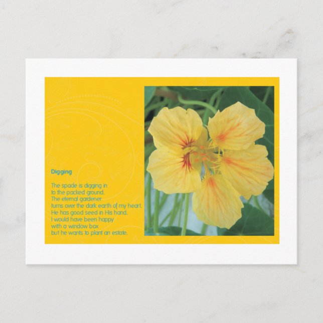 Gräver Vykort (Framsida)