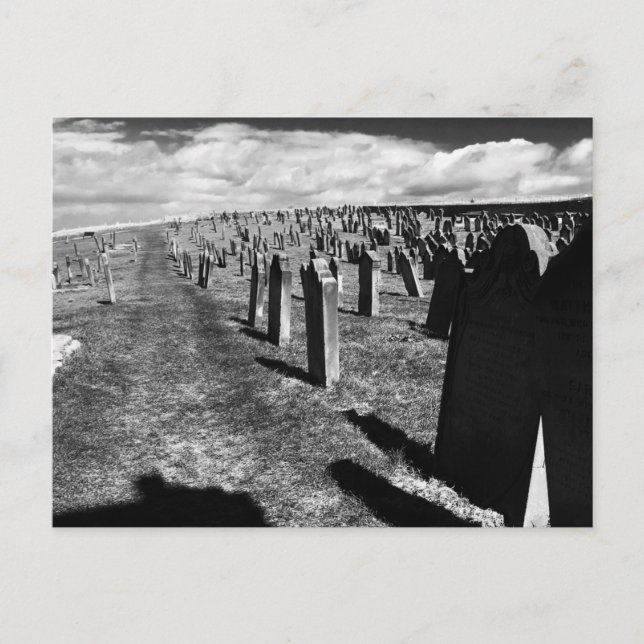 Gravestones, Whitby Abbey, Whitby, North Yorkshire Vykort (Framsida)