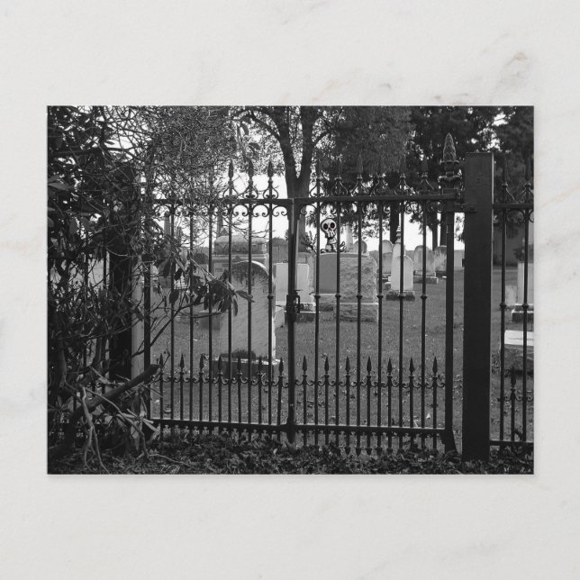 Graveyard Hälsning! - vykort nr 1 (Framsida)