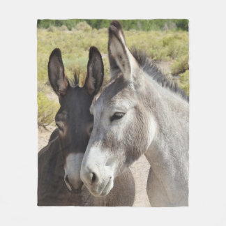 Grävfilt, vild-burros, natur, djur fleecefilt