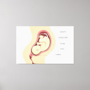 Gravid Anatomi Canvastryck