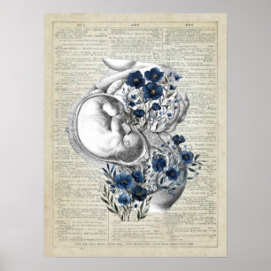 Gravid Artwork Anatomy Womb med Blåa blommor Poster