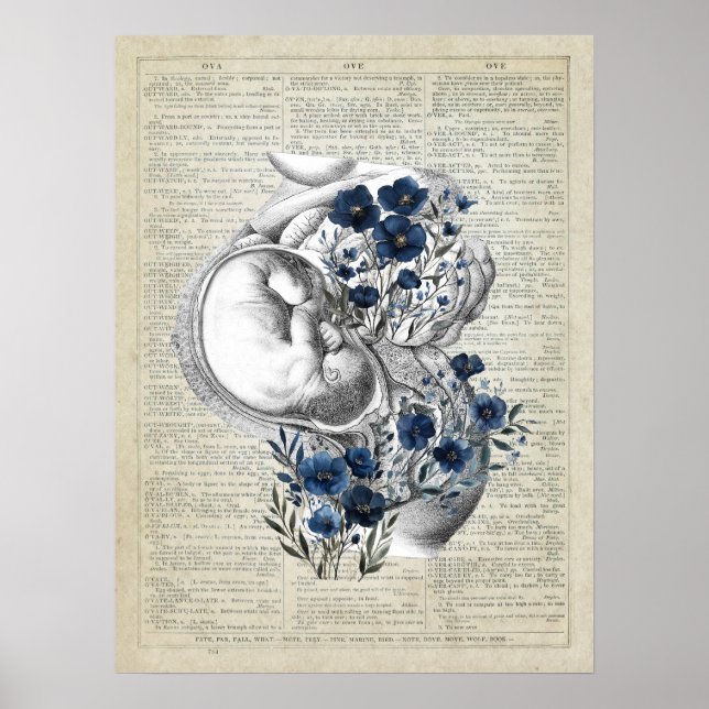 Gravid Artwork Anatomy Womb med Blåa blommor Poster (Framsidan)