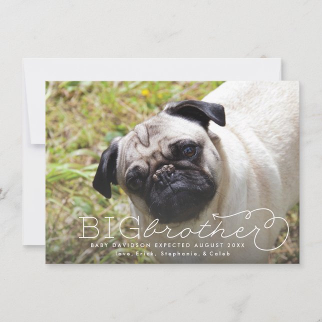 Gravid om Big Brother Photo Pet-meddelande Meddelande (Framsida)