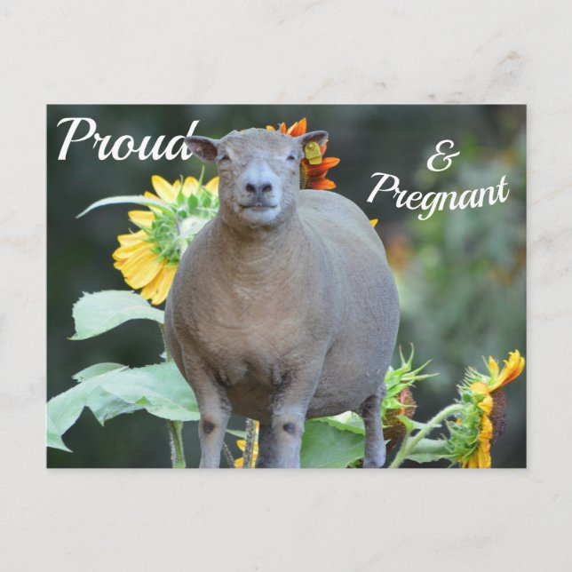 Graviditetskort pittoreskt meddelande vykort (Framsida)