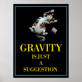GRAVITATIONEN ÄR BARA ETT FÖRSLAG POSTER