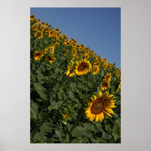 Gravity Poster (Framsidan)