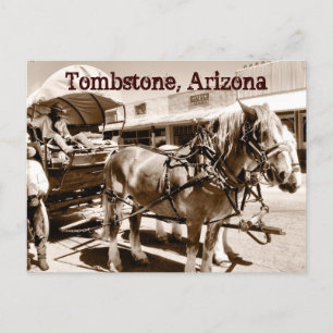 Gravsten Arizona Horses Covered Wagon Postcard Vykort