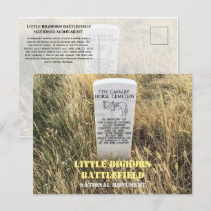 Gravsten för kavallerihästar, Little Bighorn, MT Vykort