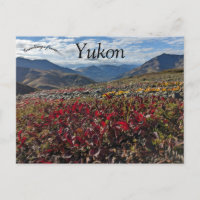 Gravsten Territorialpark Dawson Yukon Kanada