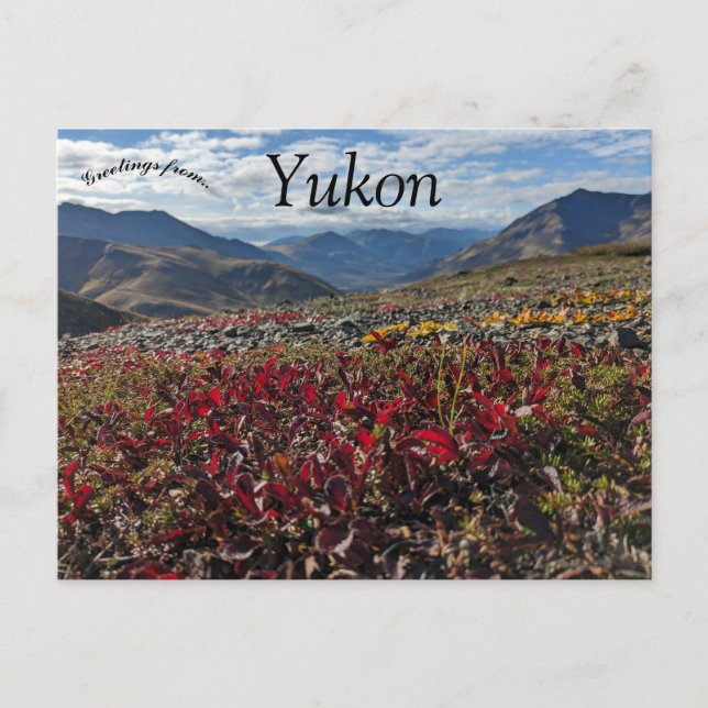 Gravsten Territorialpark Dawson Yukon Kanada Vykort (Framsida)