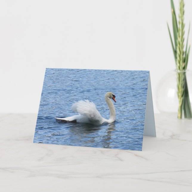 Gravt fotopatkort för Svan Kort (Framsida)