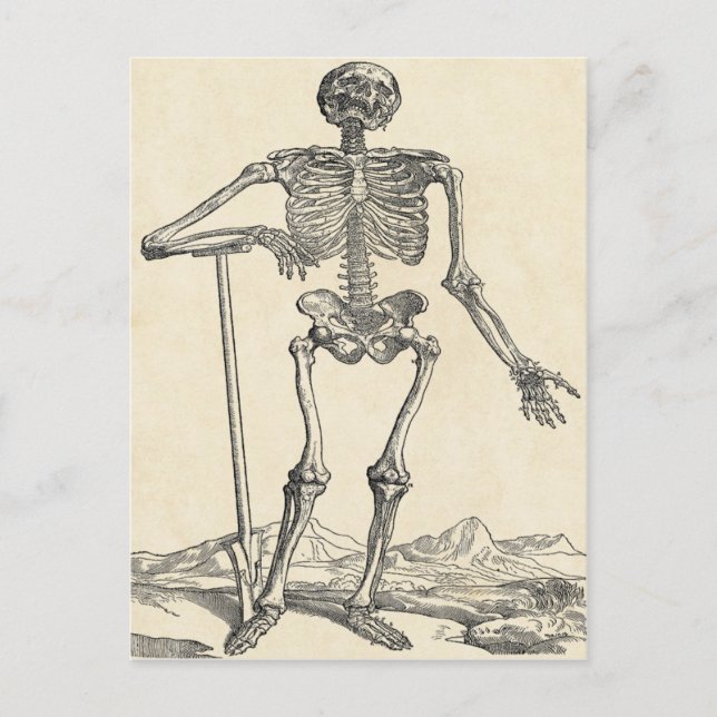 Grävt sitt eget visitkort vykort (Framsida)