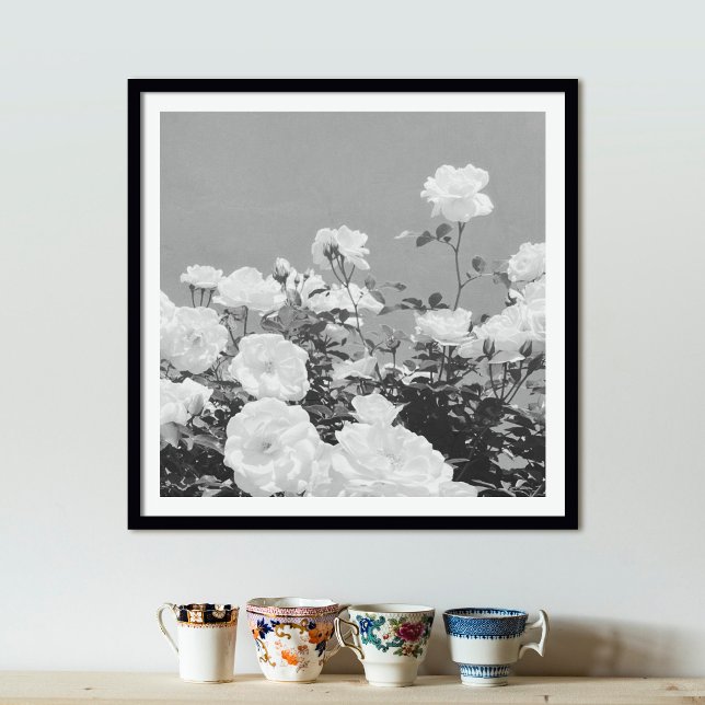 Gray Roses Floral Garden Photo Art Print Poster (Skapare uppladdad)