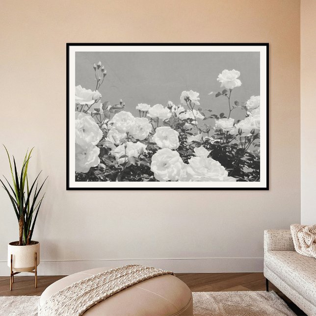 Gray Roses Floral Garden Photo Art Print Poster (Skapare uppladdad)