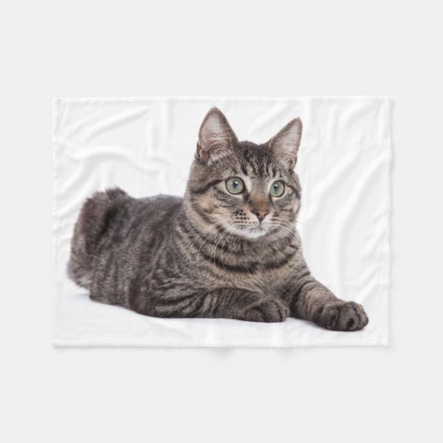 Gray Tabby Cat Fleecefilt (Framsidan (Horisontell))