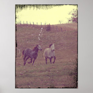 Grays Gallop Poster