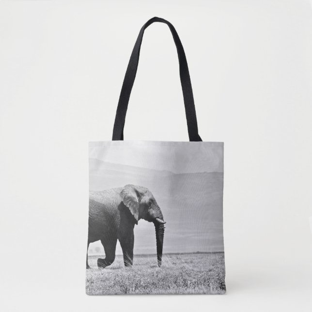 GRAYSCALE-FOTOGRAFI AV ELEFANT TYGKASSE (Framsida)