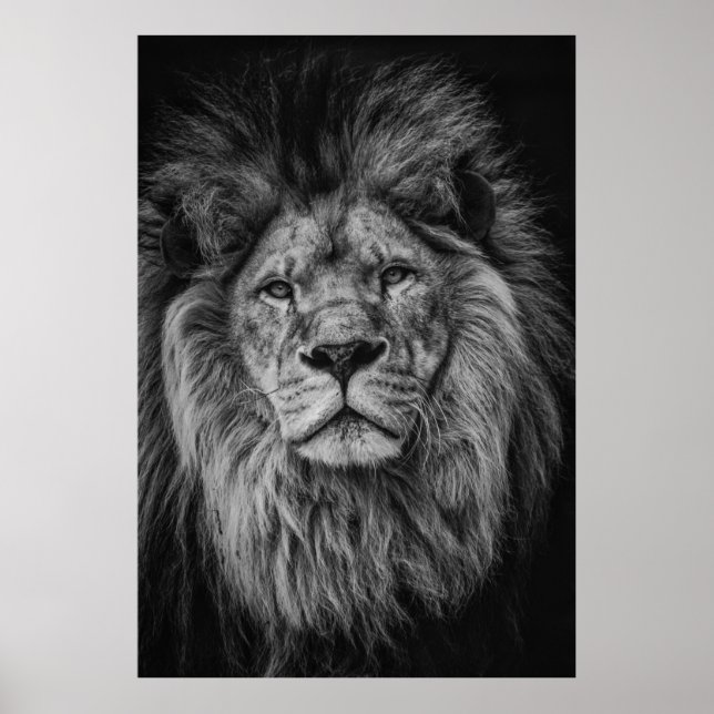 GRAYSCALE PHOTOGRAFI AV LEJON POSTER (Framsidan)