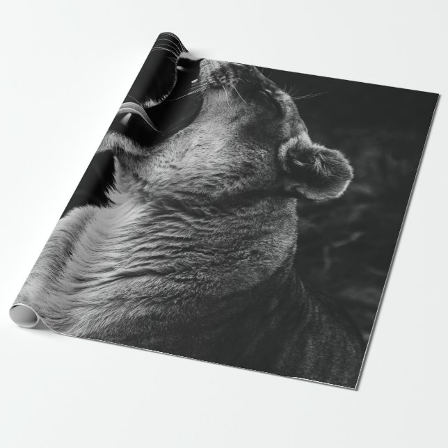 GRAYSCALE PHOTOGRAFI AV YAWNING LIONESS PRESENTPAPPER (Utrullad)