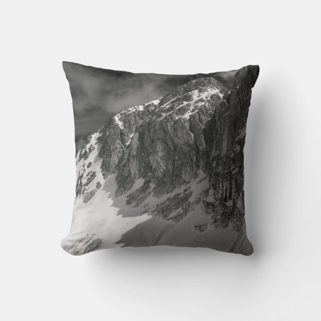 GRAYSCALE PHOTOGRAPHY OF MOUNTAIN KUDDE (Framsida)