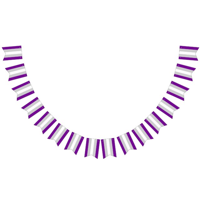 Graysexual Pride Flagga Bunting Banner LGBT Party (Alla)