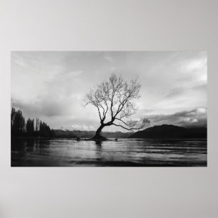 GRAYSKALA FOTO AV BARE TRÄD PÅ LUGN KROPPEN VATTEN POSTER