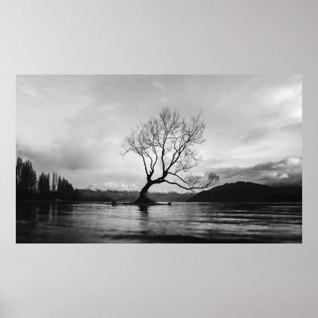 GRAYSKALA FOTO AV BARE TRÄD PÅ LUGN KROPPEN VATTEN POSTER (Framsidan)