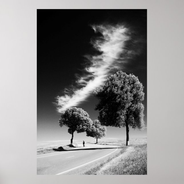 GRAYSKALA FOTO AV PERSONER PÅ VÄG MELLAN TRÄD POSTER (Framsidan)