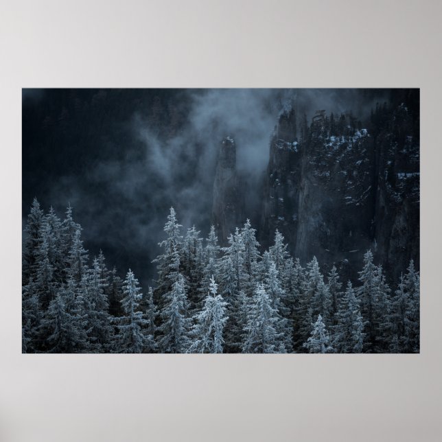 GRAYSKALFOTOGRAFI AV MOUNTAIN OCH TRÄD TÄCKNING POSTER (Framsidan)