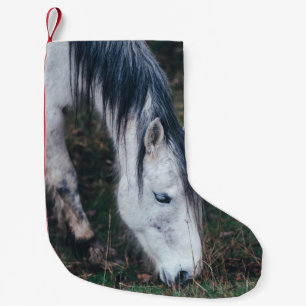 GRAZING AV GRÅTT HORSE PÅ EN ÖSTDAGS LITEN JULSTRUMPA