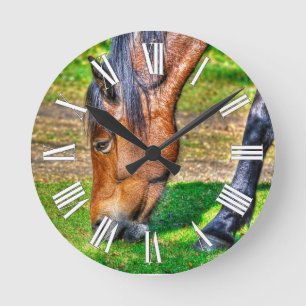 Grazing Bay Pony Equine Photo Horse-älskare Rund Klocka