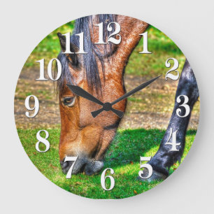 Grazing Bay Pony Equine Photo Horse-älskare Stor Klocka
