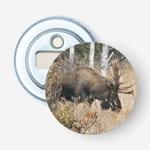 Grazing Bull Moose Flasköppnare
