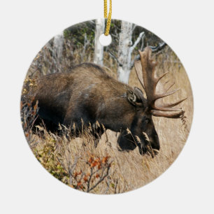 Grazing Bull Moose Julgransprydnad Keramik
