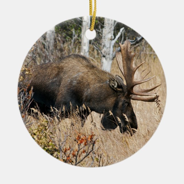 Grazing Bull Moose Julgransprydnad Keramik (Framsidan)