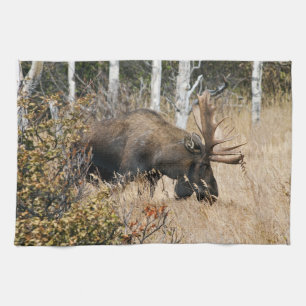Grazing Bull Moose Kökshandduk