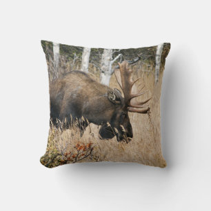 Grazing Bull Moose Kudde