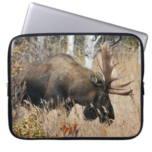Grazing Bull Moose Laptop Fodral