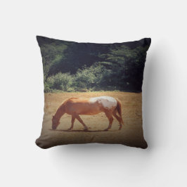 Grazing Palomino.... Kudde