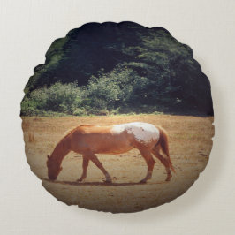 Grazing Palomino.... Rund Kudde