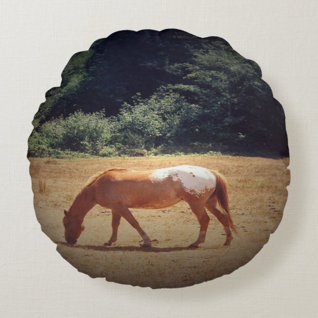 Grazing Palomino.... Rund Kudde (Framsidan)