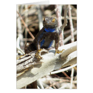 Great Basin Fence Lizard vid Joshua Tree Hälsningskort