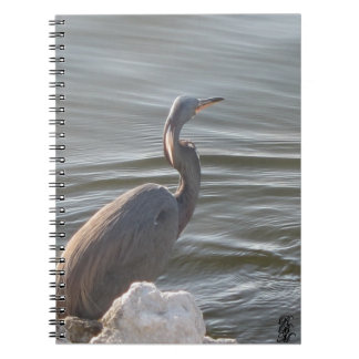 Great Blue Heron by the Water Anteckningsbok