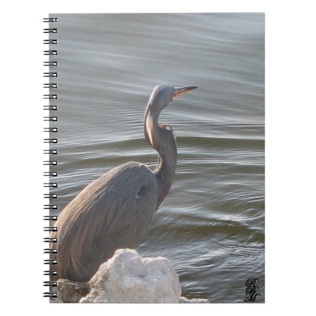 Great Blue Heron by the Water Anteckningsbok (Framsidan)