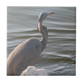 Great Blue Heron by the Water Kakelplatta