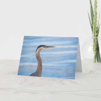 Great Blue Heron Wildlife Bird Photography Blank Helgkort
