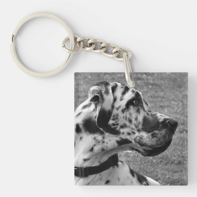 GREAT DANE (Framsidan)