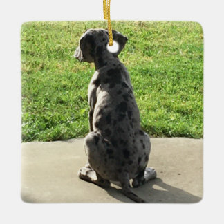 Great dane 1st X-Mas Julgransprydnad Keramik