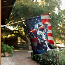 Great dane 4 juli Independence day